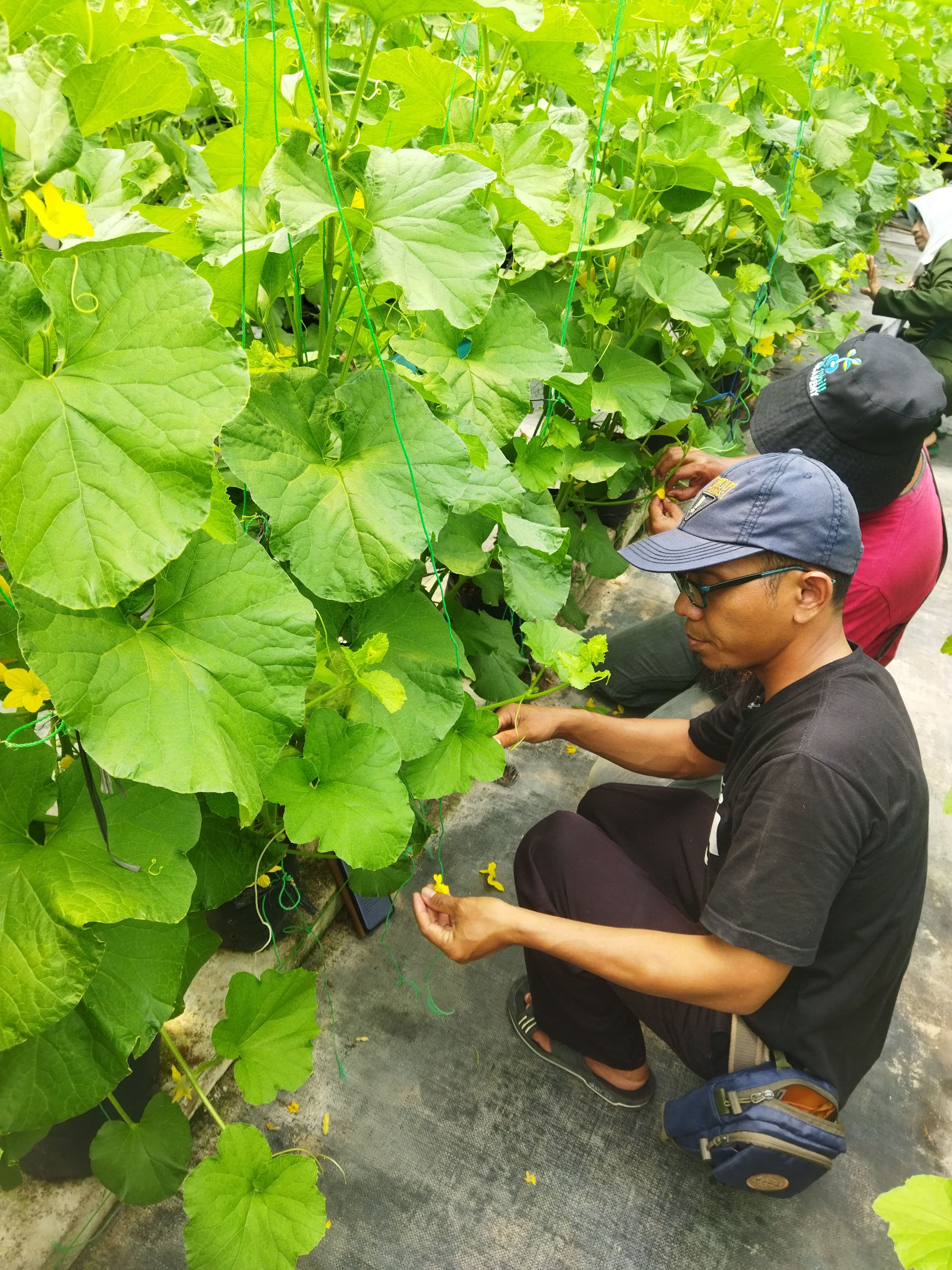 Foto Academy Orang Motong Tanaman duduk