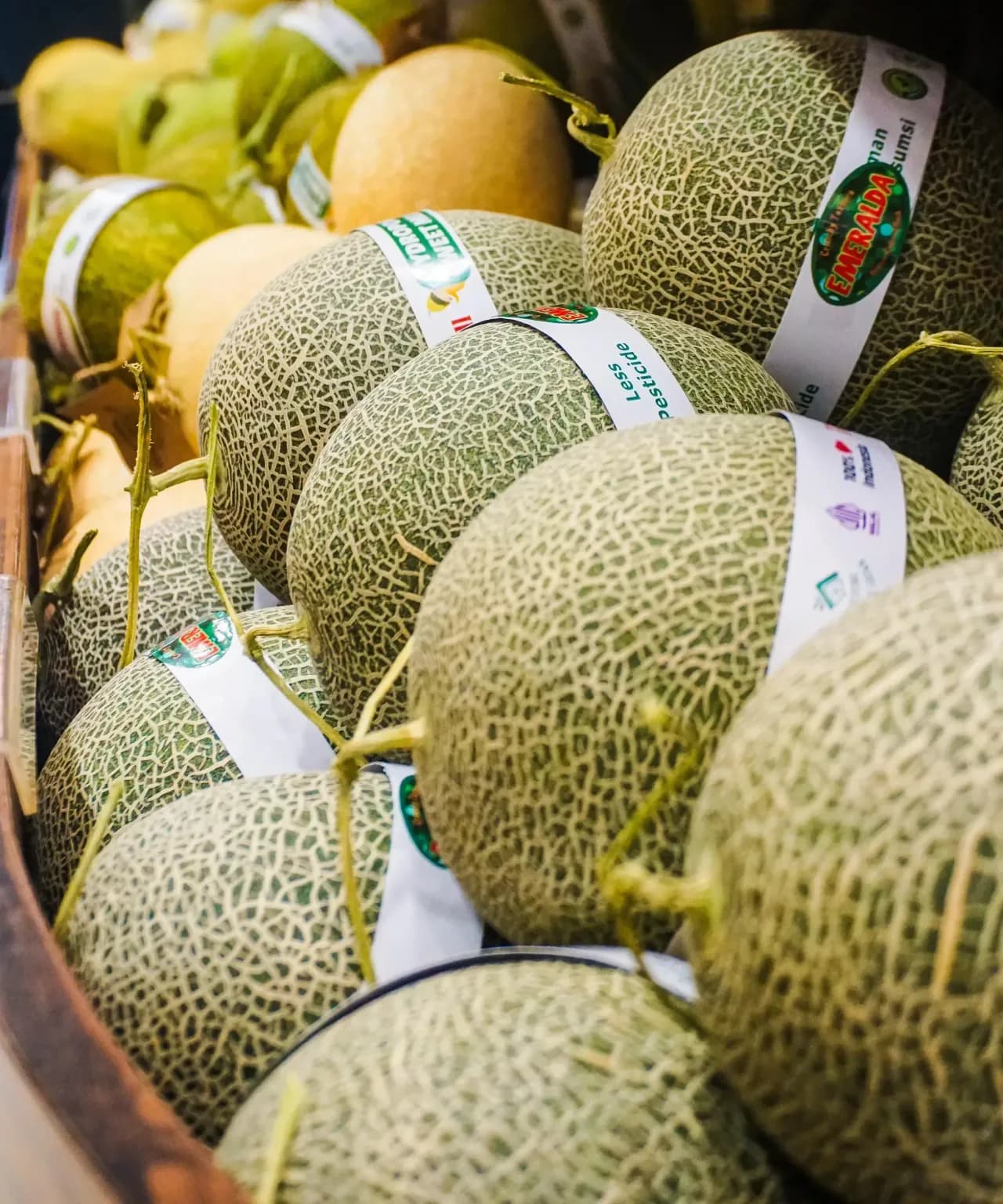 foto-melons-on-display